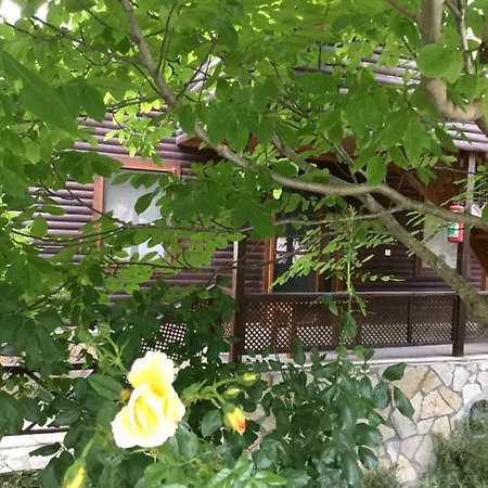 Hostel Uyku Vadisi