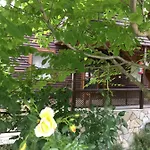 Hostel Uyku Vadisi