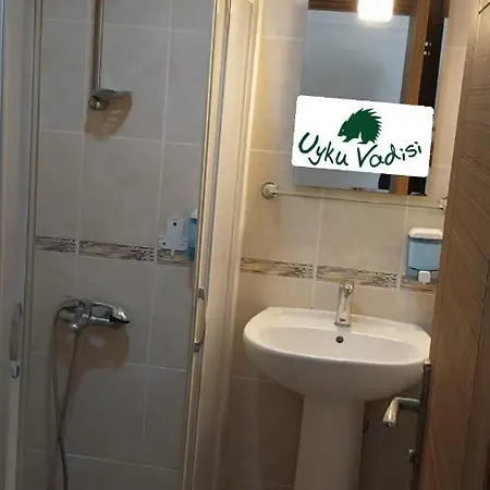 Uyku Vadisi *